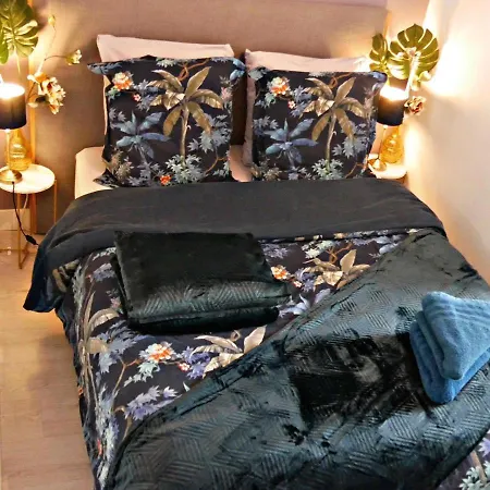 Apartament Joli Dans Le Centre De *