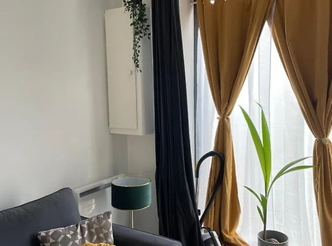 Joli Dans Le Centre De بريست