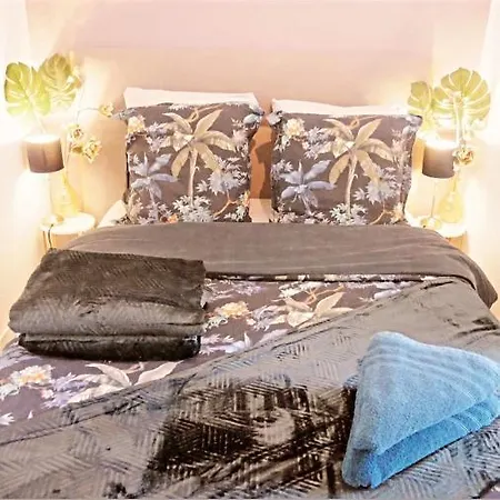 Joli Dans Le Centre De Appartement *