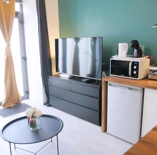 Appartement Joli Dans Le Centre De Brest
