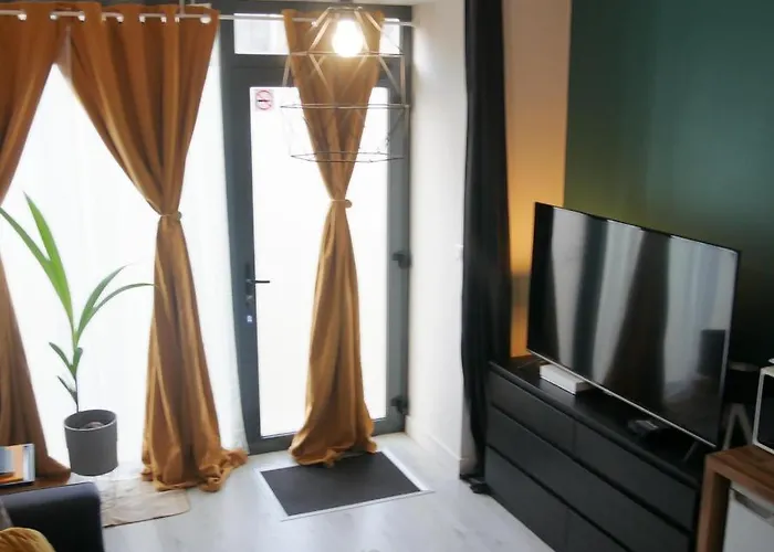 Joli Dans Le Centre De Appartement Brest